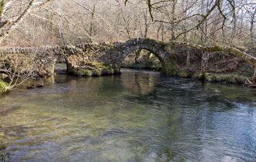 Pontes do Lérez. Ponte Gomail